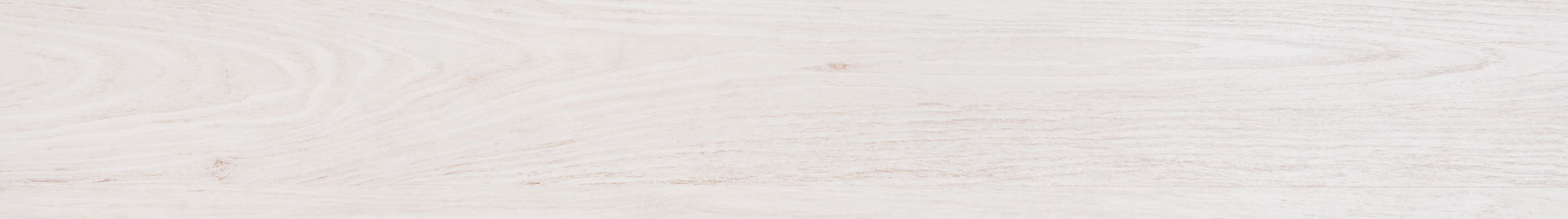 Living Earth Beauty Banner Image