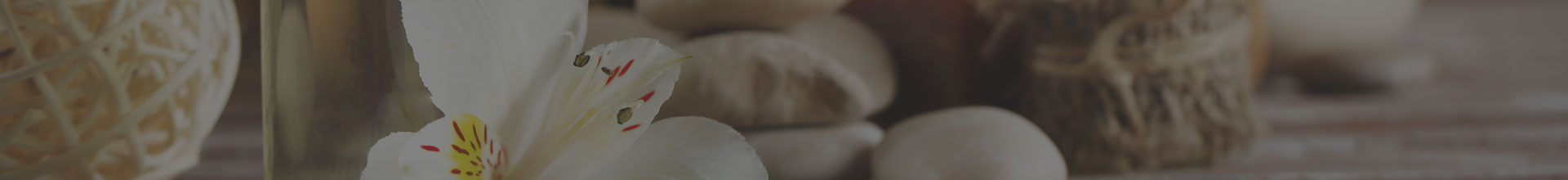 Living Earth Beauty Banner Image