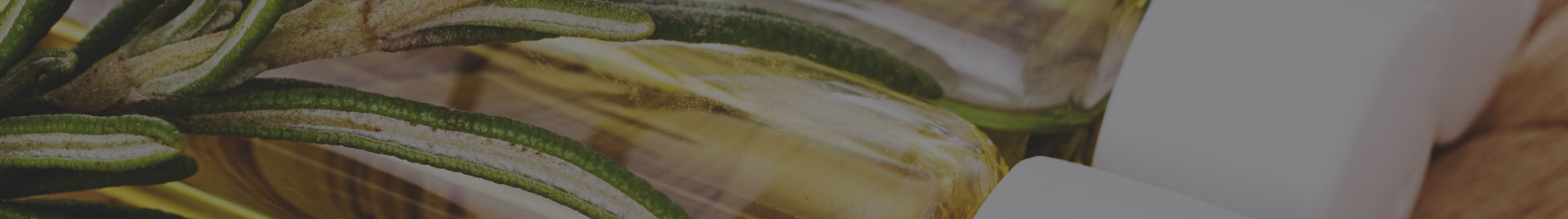 Living Earth Beauty Banner Image