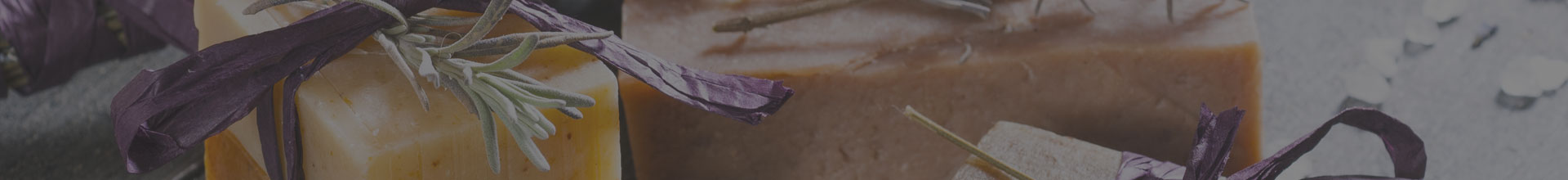 Living Earth Beauty Banner Image