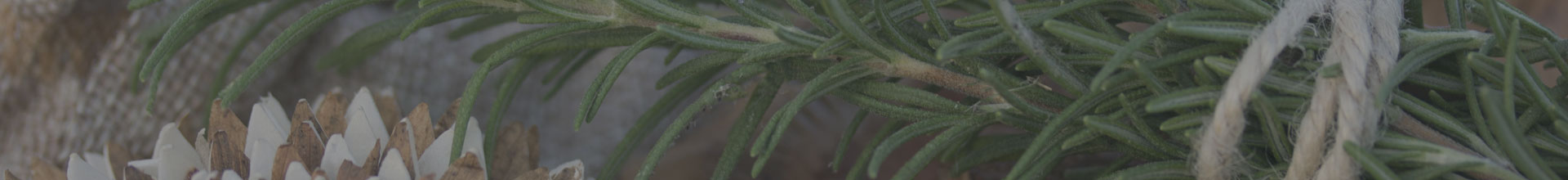 Living Earth Beauty Banner Image