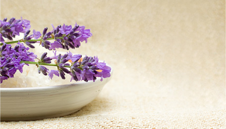 Living Earth Beauty Lead-In